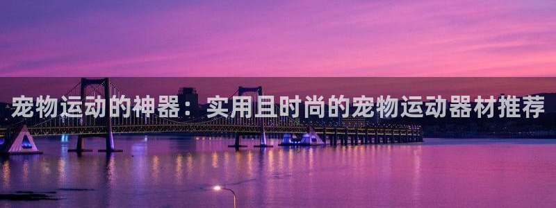 fb体育招商:宠物运动的神器:实用且时尚的宠物运动器材推荐